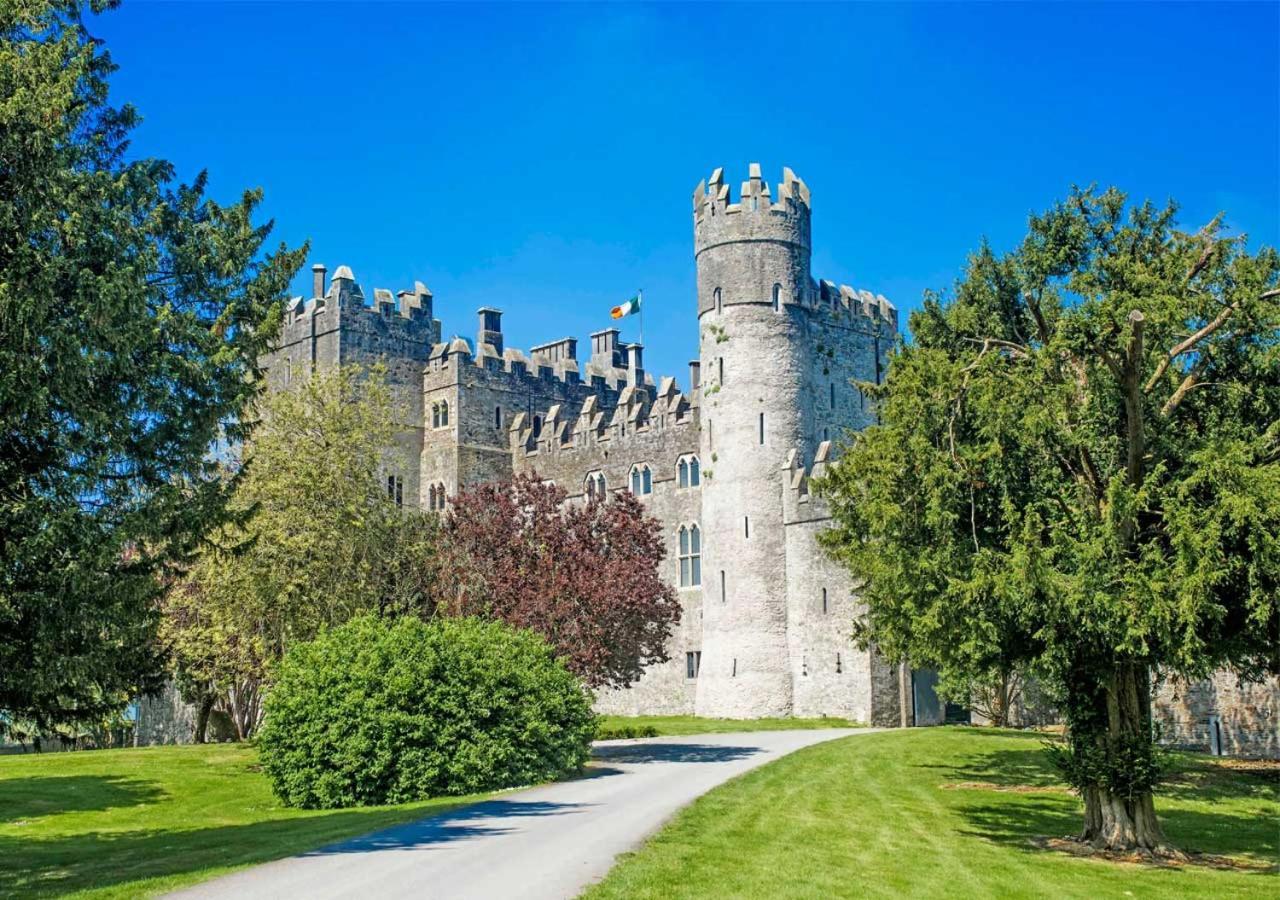 The Lodges At Kilkea Castle Екстериор снимка